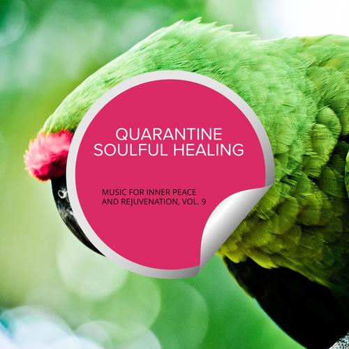 Quarantine Soulful Healing - Music For Inner Peace And Rejuvenation, Vol. 9