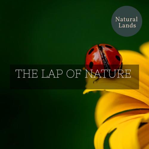 The Lap of Nature