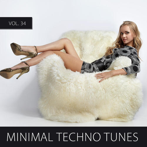 Minimal Techno Tunes, Vol. 34