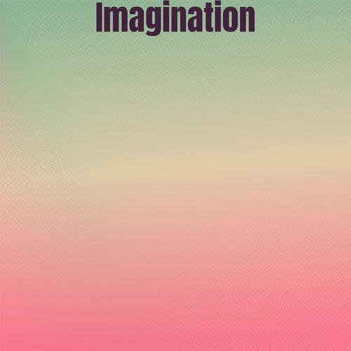 Imagination