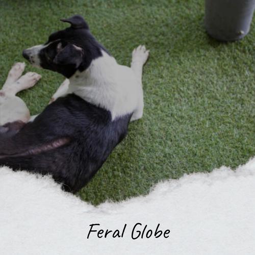 Feral Globe