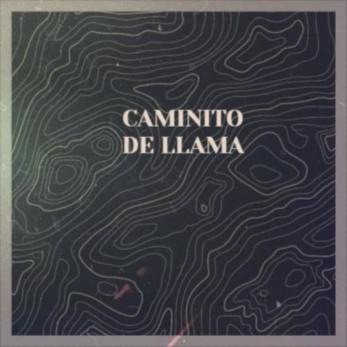 Caminito De Llama