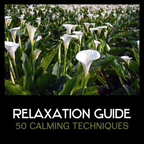 Relaxation Guide – 50 Calming Techniques for Anxiety Relief, Healing Soul, Gentle Nature Sounds with Chinese Instruments