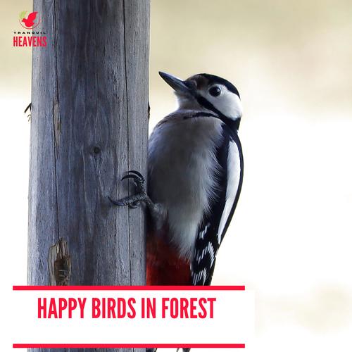 Happy Birds in Forest