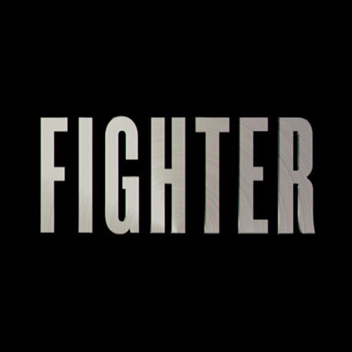 Fighter