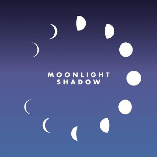 Moonlight Shadow (Remix)