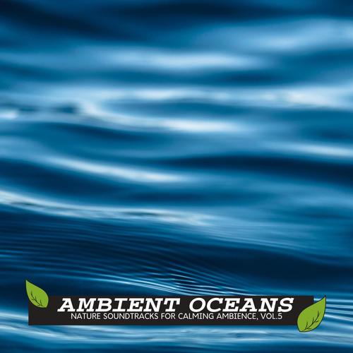 Ambient Oceans - Nature Soundtracks for Calming Ambience, Vol.5