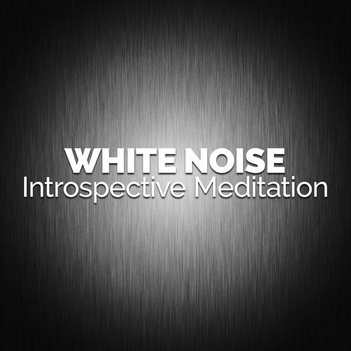 White Noise: Introspective Meditation