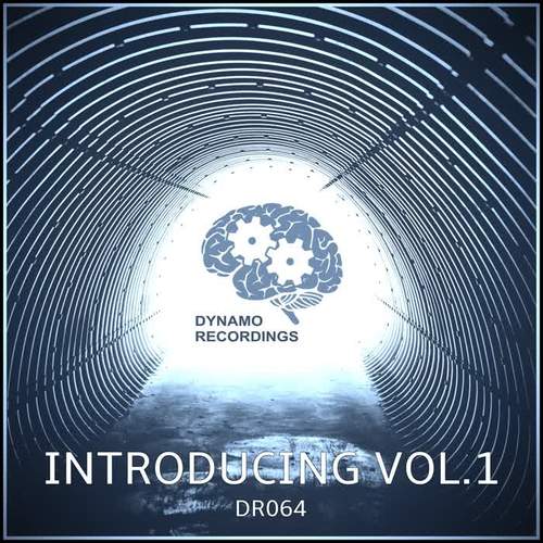 Dynamo Introducing, Vol. 1