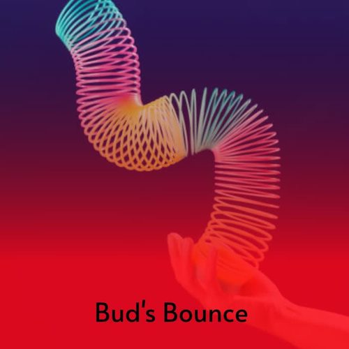 Bud's Bounce