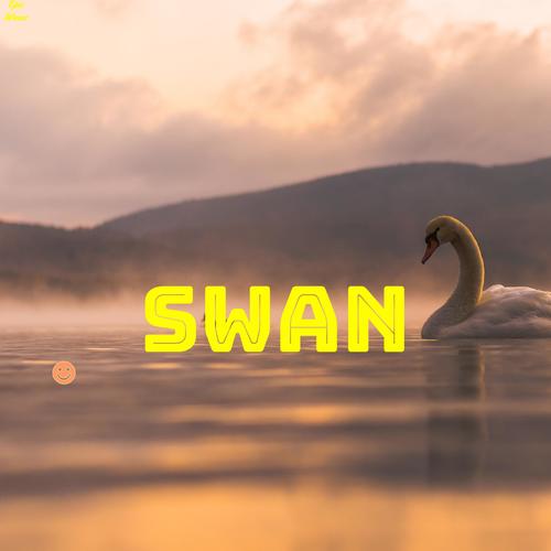 SWAN