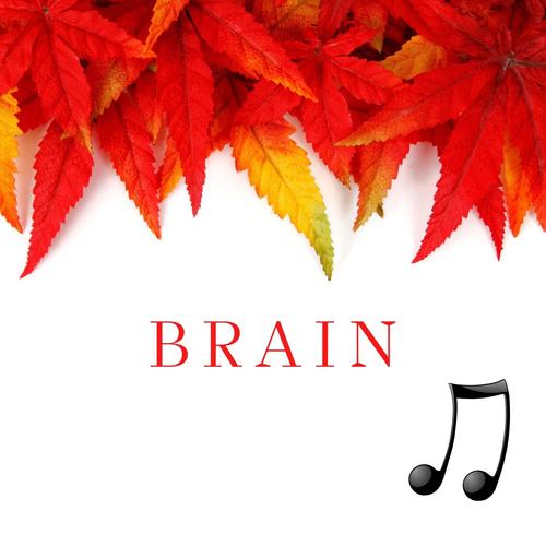 Brain