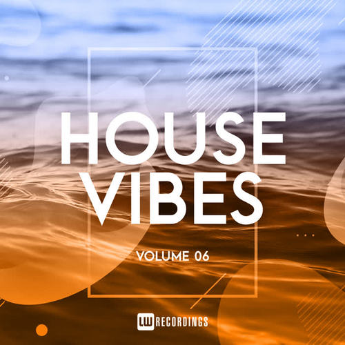 House Vibes, Vol. 06