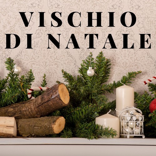 Vischio Di Natale