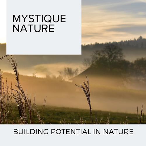 Mystique Nature - Building Potential In Nature