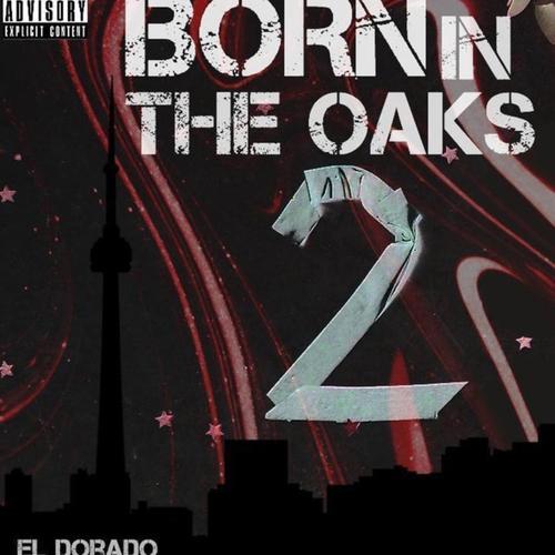 Born In The Oaks 2 (Explicit)