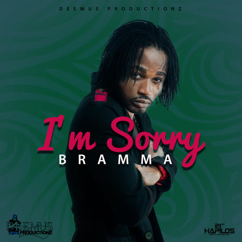 I'm Sorry - Single