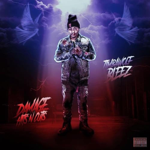 Damage: Hits n Cuts (Explicit)