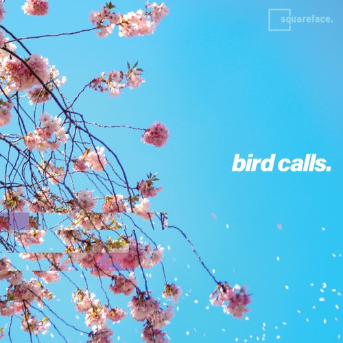 Bird Calls