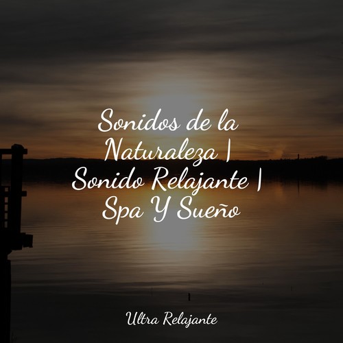 Sonidos de la Naturaleza | Sonido Relajante | Spa Y Sueño