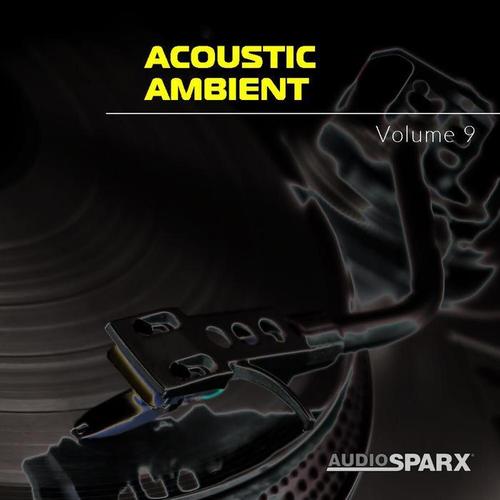 Acoustic Ambient Volume 9