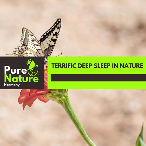 Terrific Deep Sleep in Nature