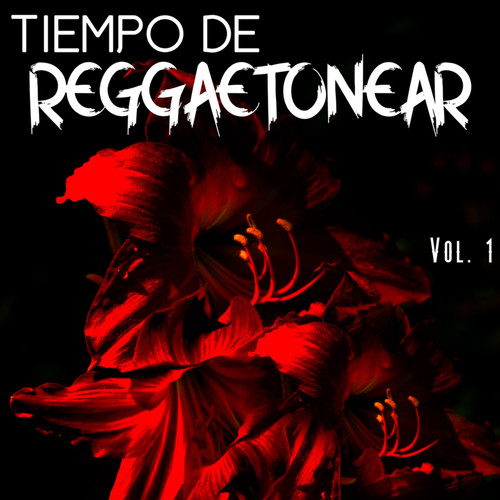 Tiempo De Reggaetonear Vol. 1 (Explicit)