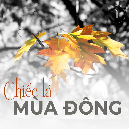 Chiếc lá mùa đông 2 - Tình Nồng