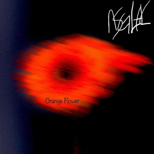 Orange Flower (Explicit)