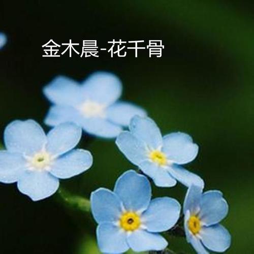 花千骨