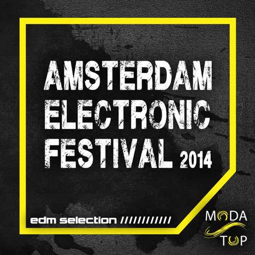 Amsterdam Electronic Festival 2014 - EDM Selection