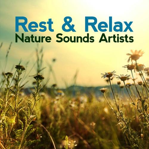 Rest & Relax Nature Sounds Artists