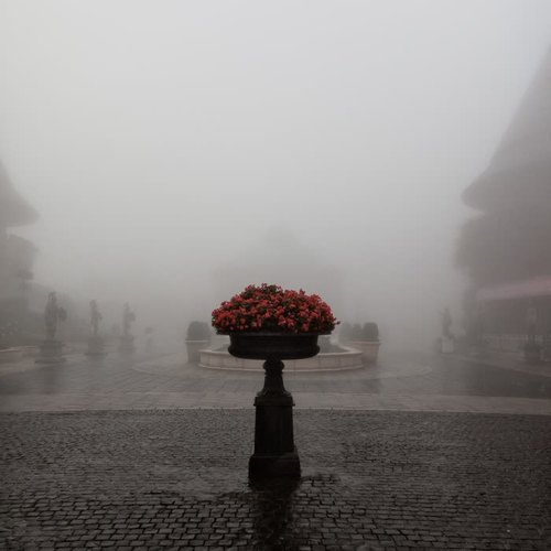 Loopable Rain and Nature Sounds