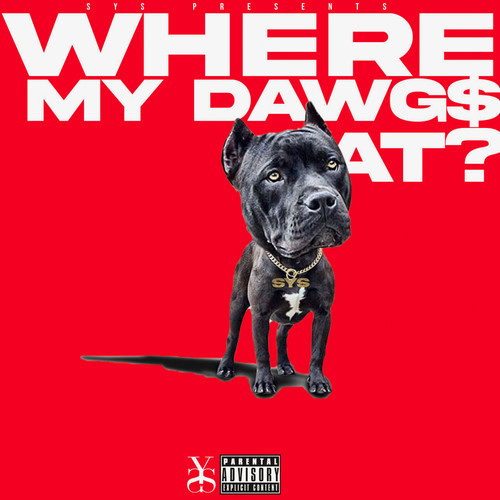 WHERE MY DAWG$ AT (feat. 17kartier, Kd Hellcat, Lil Leek) [Explicit]