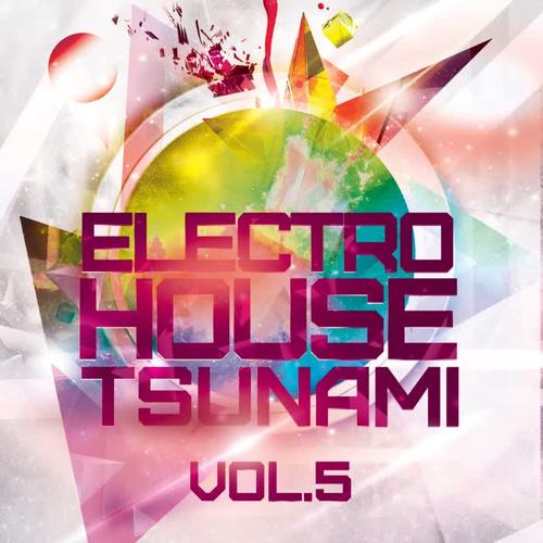 Electro House Tsunami, Vol. 5