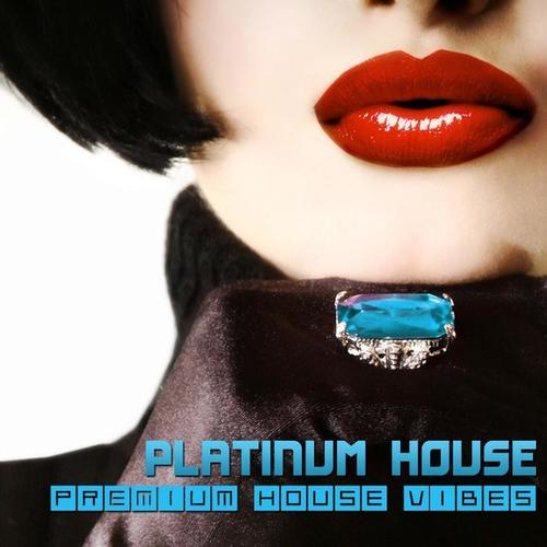 Platinum House - Premium House Vibes