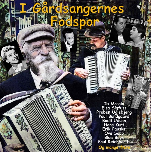 I Gårdsangernes Fodspor Vol. 14