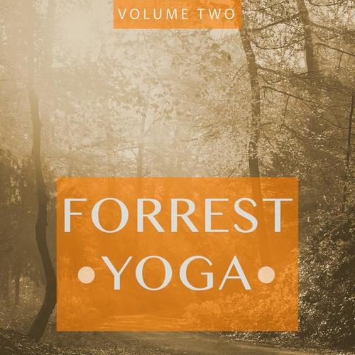 Forrest Yoga, Vol. 2 (Finest In Smooth Electronic Music)