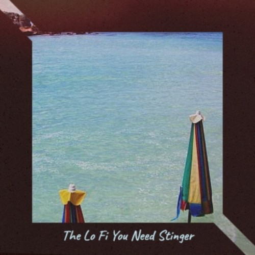 The Lo Fi You Need Stinger