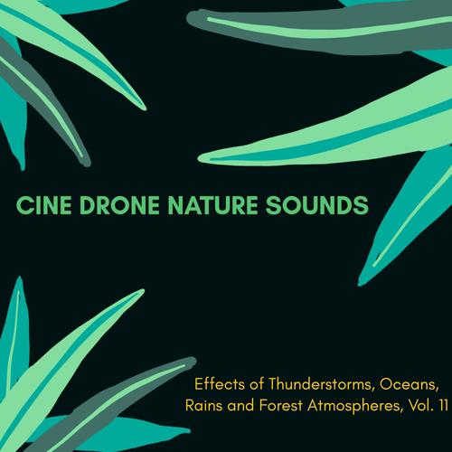 Cine Drone Nature Sounds - Effects of Thunderstorms, Oceans, Rains and Forest Atmospheres, Vol. 11