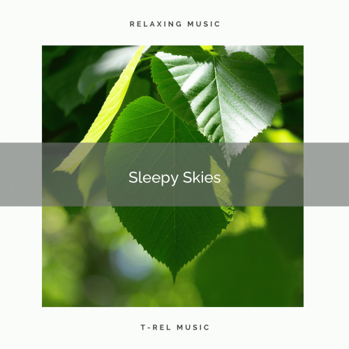 Sleepy Skies