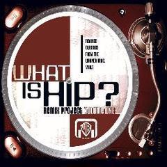 What Is Hip-Remix Project Vol. 1