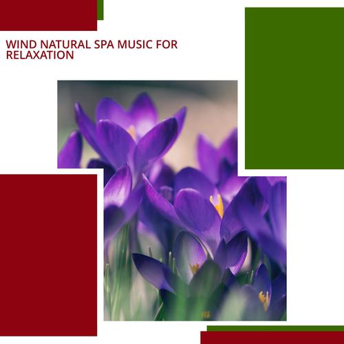 Wind Natural Spa Music For Relaxation