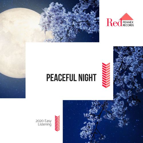 Peaceful Night - 2020 Easy Listening