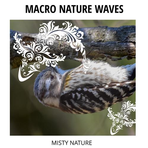 Macro Nature Waves - Misty Nature