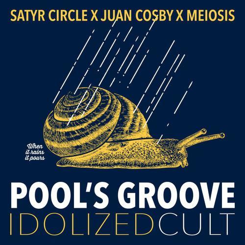 Pool's Groove - Single