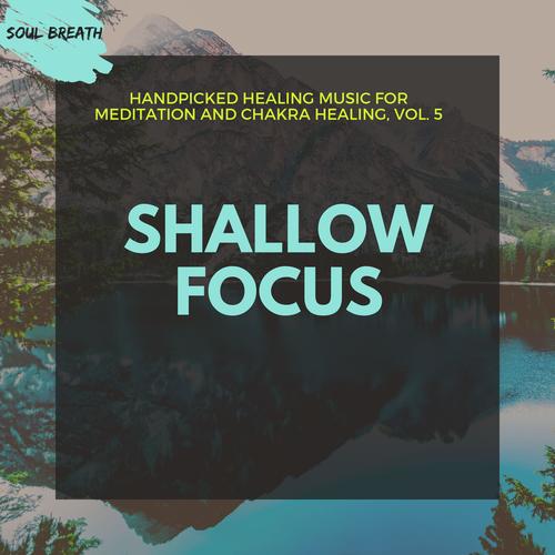 Shallow Focus - Handpicked Healing Music For Meditation And Chakra Healing, Vol. 5