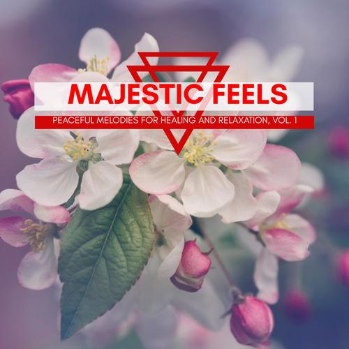 Majestic Feels - Peaceful Melodies For Healing And Relaxation, Vol. 1