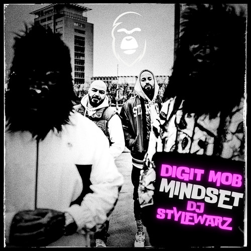 Mindset (Explicit)