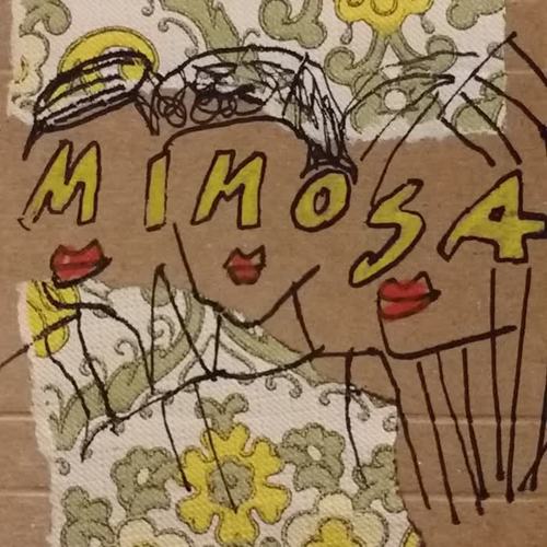 Mimosa